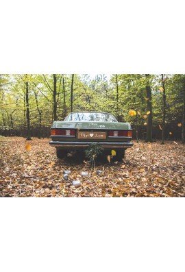 Tablica rejestracyjna boho