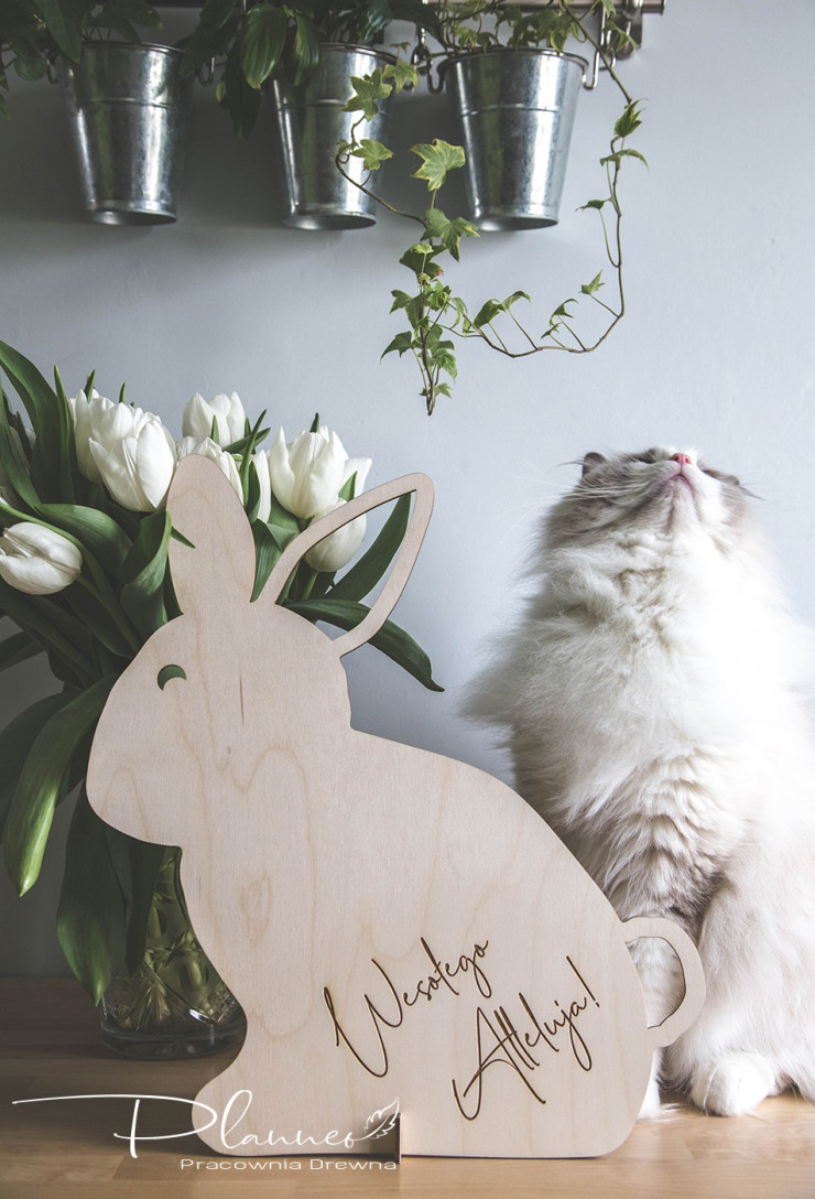 Zające do postawienia