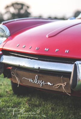 Tablica rejestracyjna Miłość drewniana