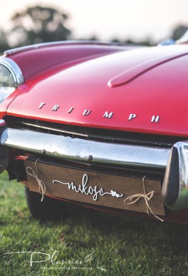 Tablica rejestracyjna Miłość drewniana