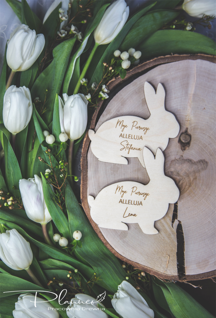 Zając pierwsze Alleluja