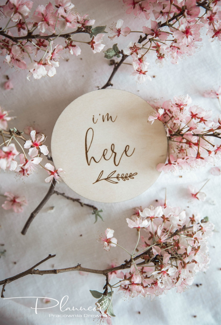 Tabliczki z miesiącami po angielsku