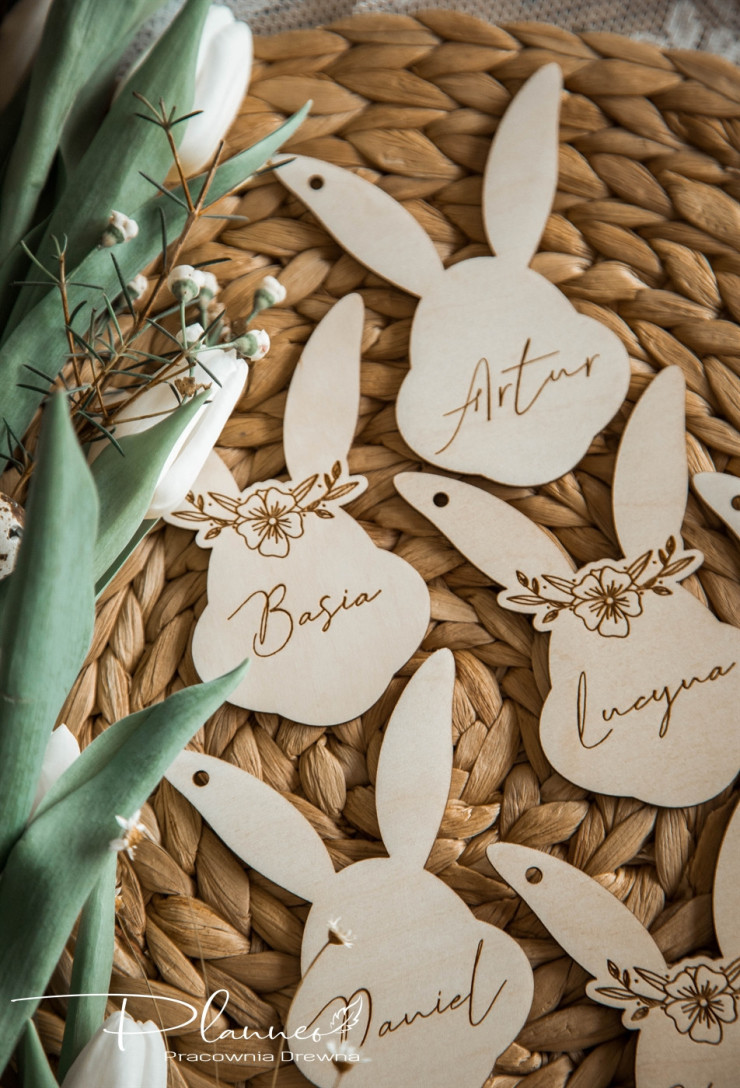 Winietka Uszy zająca