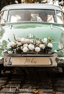 Tablica rejestracyjna drewniana