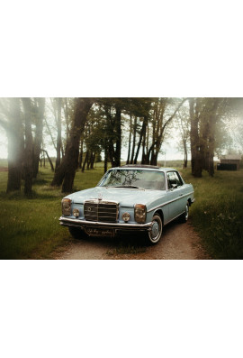 Tablica rejestracyjna żyli długo i szczęśliwie