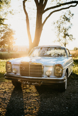 Tablica rejestracyjna drewniana