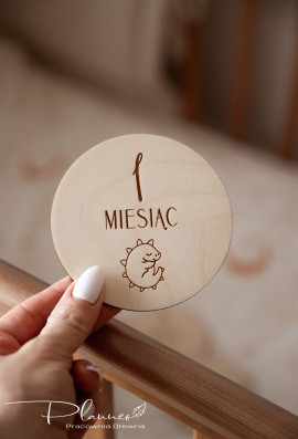 Tabliczki z miesiącami dinozaury