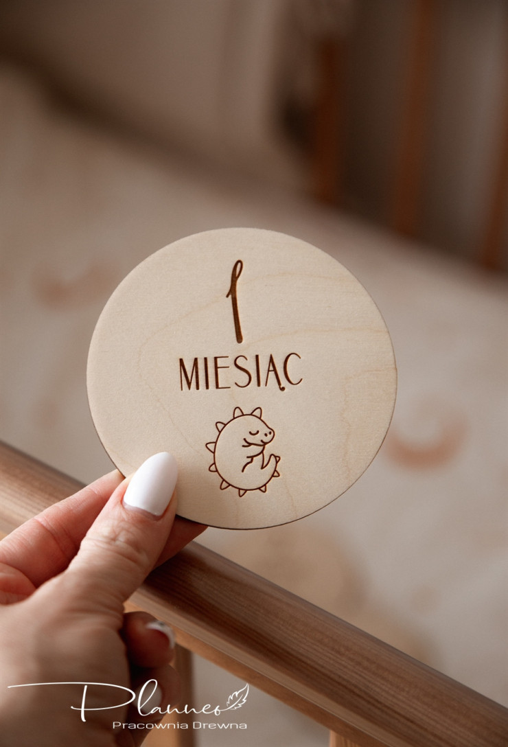 Tabliczki z miesiącami dinozaury