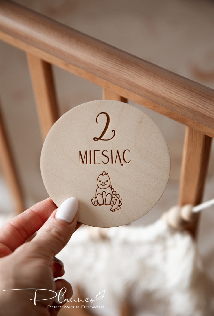 Tabliczki z miesiącami dinozaury